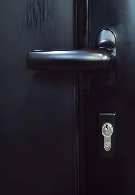 Puerta ciega, color negro mate (detalle)