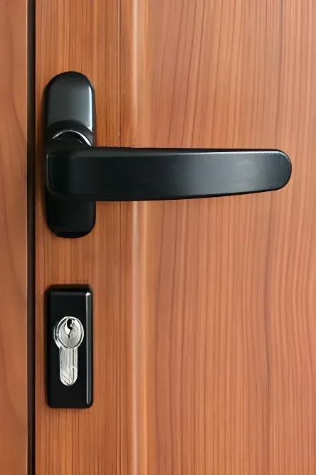 Puerta simil cedro 2 paneles clásicos realzados, color simil cedro (detalle)