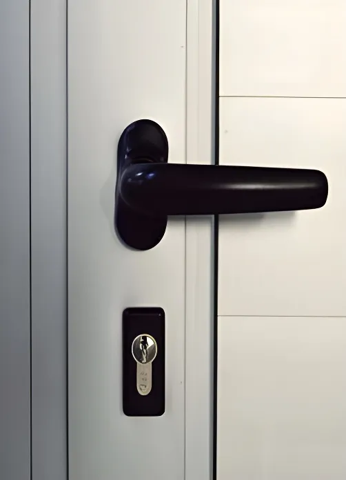 Puerta M3 - revestimiento con paño fijo superior chico, color anodizado natural (detalle)