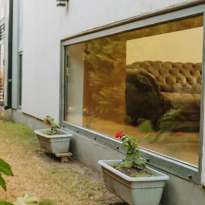 Paño fijo panorámico de aluminio con vista al living desde el jardín
